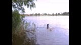 Cucciolo di gomma pannolini al lago darubberpantsboy snapshot 6