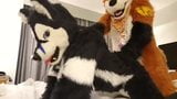 play fursuit with friend snapshot 7
