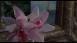 Минеттік секс