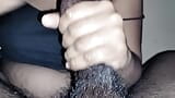 Happy End # Telugu Handjob # Telugu Schwanzmassage snapshot 5