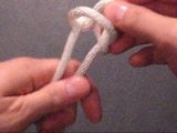 Snake Knot snapshot 3