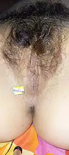 Pepek berbulu Brunei | xHamster