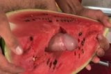 Huge Cock Watermelon Blowjob snapshot 5