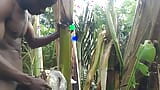 Man all alone In the Forest and make the plantain tree is wife and Fuck on it snapshot 12
