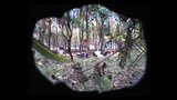 2 Lesbenfotzen im Wald heimlich gefilmt-krass! snapshot 2