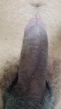 My dick horny snapshot 8