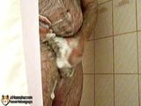 Furry Chubby Bear Strokes His Cock In The Shower snapshot 6