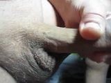 67 yrold ​​grandpa close cum #103 cumshot closeup closeup ривок snapshot 4