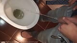 Toilet boys in cum from the first person! snapshot 1