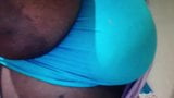 African Big Brown Areolas snapshot 1