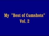 My  Best of Cumshots  Vol. 2 snapshot 1