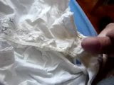 great dirty panties of my mother in law snapshot 5