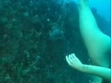 Seks onder water 15 Sandy Knight. 90ft snapshot 3