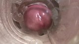 Fleshlight-Quickie 2 snapshot 1