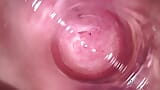 Camera inside my tight creamy pussy, Internal view of my horny vagina snapshot 3