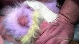 Angora fuzzy-soffice-peloso snapshot 6