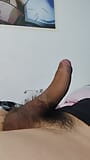 PORNO GAY (NEW VENYVERAS) snapshot 3