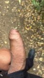 Cruising in the woods make dick hard snapshot 3