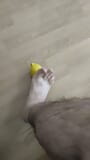 Lemon foot fetish snapshot 4