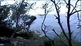 Pájaro carpintero traga esperma chupa su polla en las dunas snapshot 12