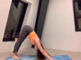 Yoga snapshot 1