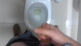 Masturbation at Work 06 snapshot 6