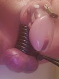 Chastity slave gets fried balls snapshot 2