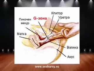 Бля Камила Кримсон