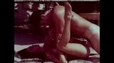 Sexo vintage y sol snapshot 5