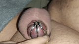 Fat Sissy Pig Tiny Clit 7 Days In Chastity snapshot 2