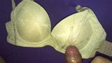 My aunt's Bra snapshot 4