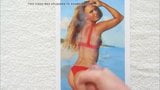 Sperma-Tribute-Zusammenstellung - wunderschön | xHamster