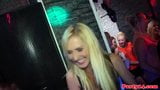 Euro amateur party bitches suck stripper snapshot 12