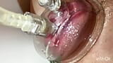 Hairy Pissy Pumped Pussy Cucumber Fuck snapshot 2