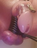 Chastity slave gets fried balls snapshot 19