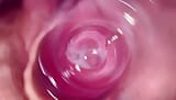 SUPER CLOSE UP - this is what the inside of the vagina looks like snapshot 5