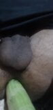 big and thick cucumber fuck anus snapshot 2