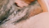 Cọ xát trên của tôi béo mèo cho đến khi tôi xuất tinh snapshot 1