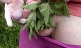 slow motion nettles snapshot 2