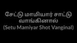 Tamil story Setu Mamiyar Shot Vanginal snapshot 1