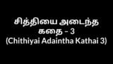 Tamil Aunty Sex Chithiyai Adaintha Kathai 3 snapshot 8