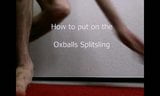 Oxballs Splitsling snapshot 1