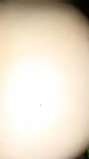 Porno videoda dosti tomonidan aldangan kelin