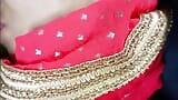 Sexy hermosa dama de sari rosa follando en la noche snapshot 3