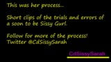 Making Sarah clip collection snapshot 1