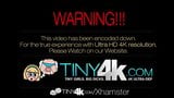 Tiny4k - la piccola ragazza nerd tali dova viene distrutta da un grosso cazzo snapshot 1