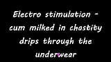 Electro stimulation - cum milked in chastity drips through the underwear snapshot 1