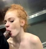 Elevator bj snapshot 2