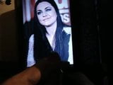 Penghargaan untuk amy lee snapshot 2