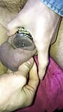 Mijn lul in platte kuisheidskooi met urethrale plug zetten snapshot 12